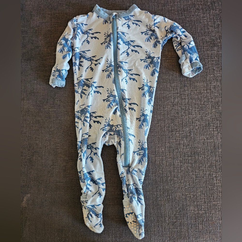 Sea reef footie
